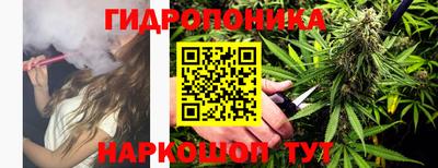 spice Балашиха