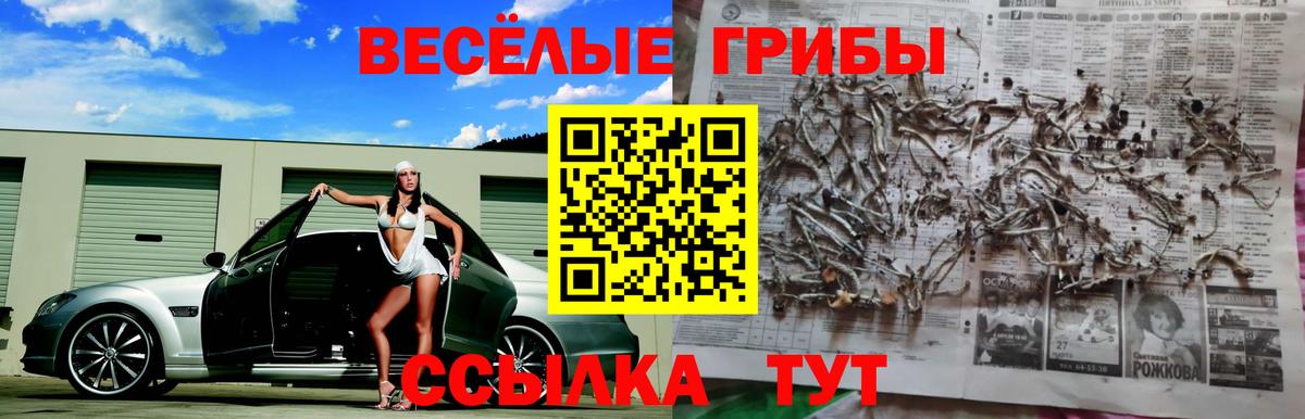 Псилоцибиновые грибы Psilocybine cubensis Донецк